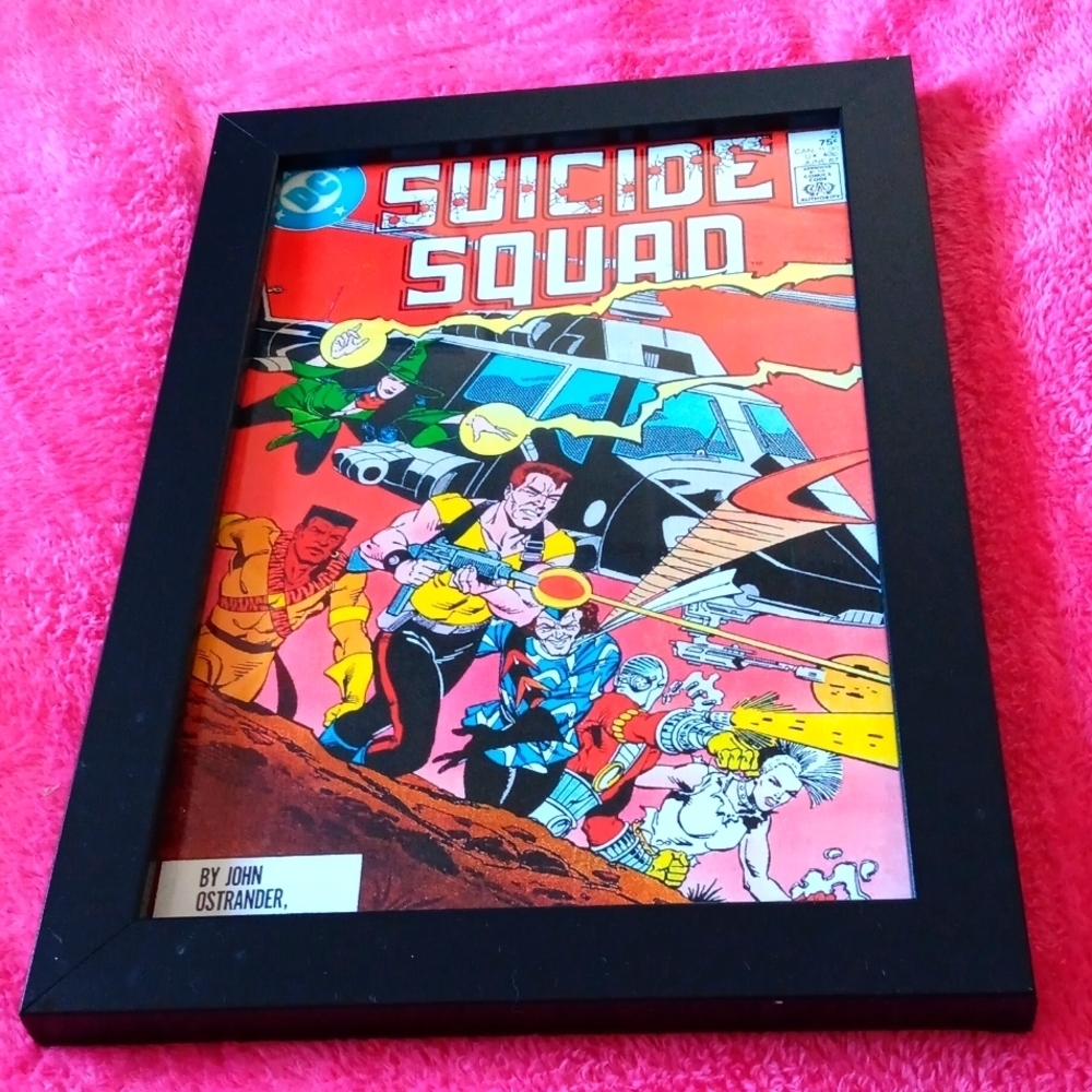DC comics  frame suicide squad